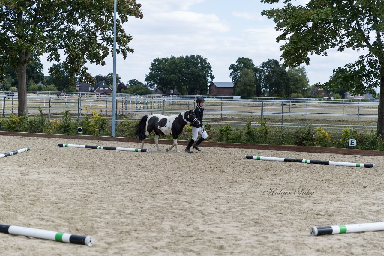 Bild 2 - Pony Akademie Turnier